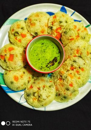A picture of Vegetable idli.