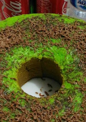 Foto resep "Bolu Pisang Pandan"