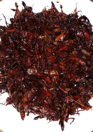Foto resep Belalang Goreng Bacem (khas Gunungkidul)