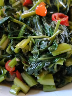 Foto resep Tumis Kangkung