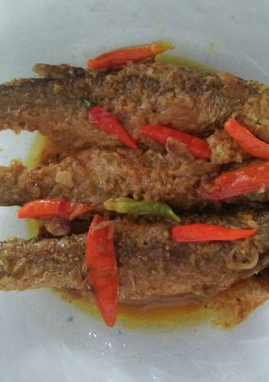 Foto resep Belanak bumbu kuning