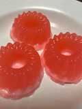 Puding Santan Swallow