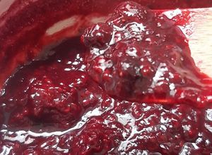 Foto de Geléia de frutas vermelhas zero açúcar
