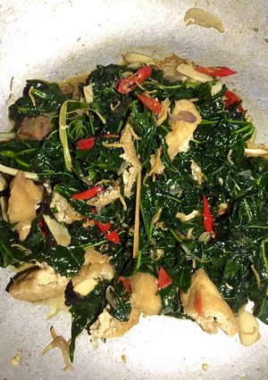 Foto resep Tumis Daun Pepaya Teri Tahu