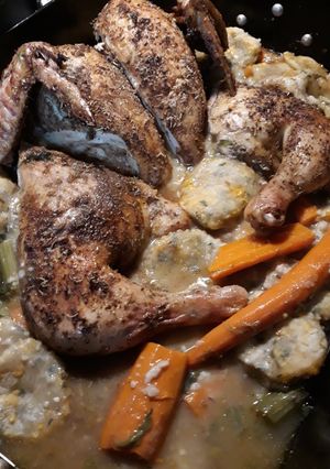 A picture of Roasted Chicken and Dumplings.