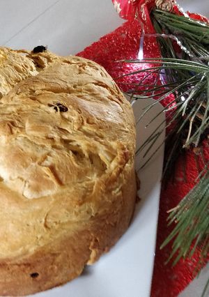 Une photo de Panettone de Noël !