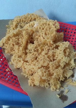 Foto resep Kremesan