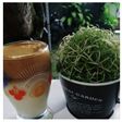 Dalgona Coffee (tanpa mixer)