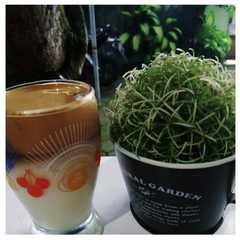 รูปของ Dalgona Coffee (tanpa mixer)