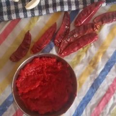 A picture of Marwadi red chutney.