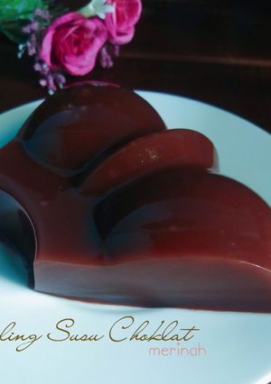 Foto resep Puding Susu Choklat