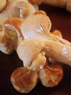 Una foto de Huesos de pan dulce (Halloween o no)