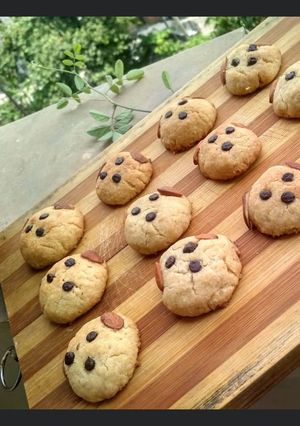 A picture of Chocolate chips cookies.