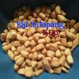 Biji Ketapang