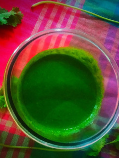 ગ્રીન ચટણી (Green Chutney Recipe In Gujarati) રેસીપી મુખ્ય ફોટો