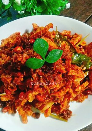Foto resep Tempe Teri Kacang Pedas Garing ala Kiena