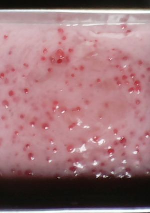 Foto resep Cantik manis