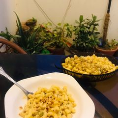 A picture of White Sauce Pasta.