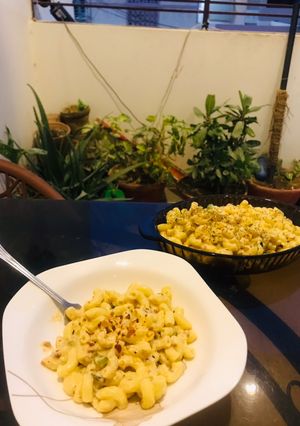 A picture of White Sauce Pasta.