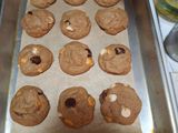 Coklat Cookies 🍪