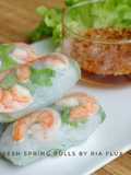Vietnamese Fresh Spring Rolls