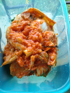 Foto resep Kimchi Homemade