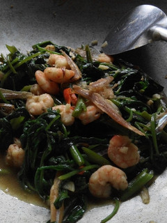 Foto resep Oseng kangkung