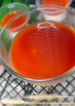 Foto resep Puding Gyu Kaku