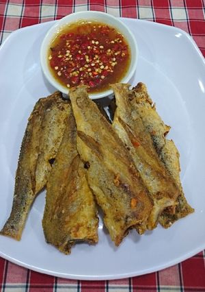 Hình của món Cá đù 1 nắng chiên giòn.
