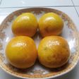Roti isi ayam