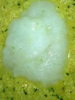 Foto resep Day. 17 Bubur Sayur Bobor Daun Kelor (6 month+)