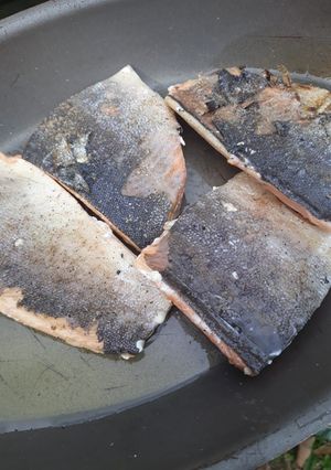 A picture of Habatchi Salmon.