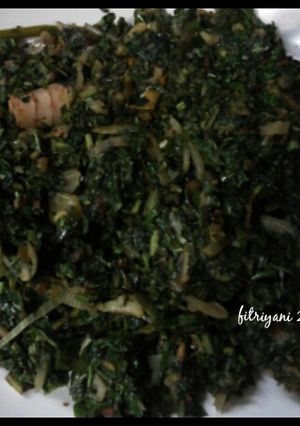 Foto resep Tumis Pakis