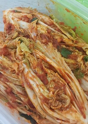 Foto resep Kimchi Tradisional (Mak Kimchi)