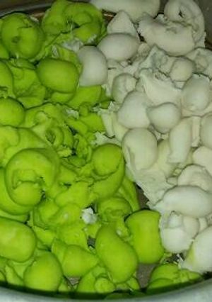 Foto resep Kue pleret yg pernah eksis and sudah punah