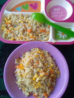 Foto resep Nasi Goreng Ceria