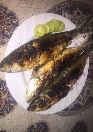 عکسی از دستور ماهی برشته