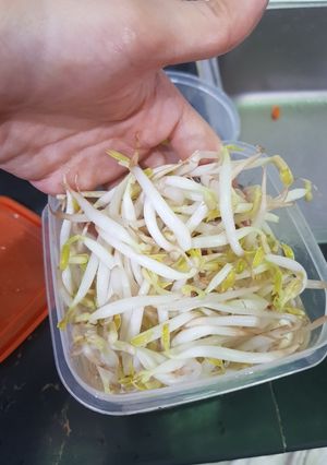 Foto resep Tips Dapur #01 Menyimpan Toge/ Tauge agar tahan lama