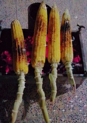 عکسی از دستور بلال🦥