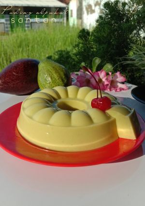 Foto resep Puding alpukat santan🥑