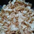 ข้าวเกรียบมะม่วง