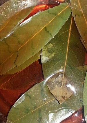 Foto resep Teh daun sirsak