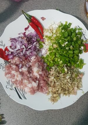 Hình của món Bún mắm tôm.