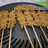Sate Usus