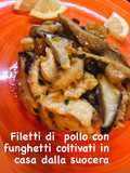 Straccetti di pollo della ROBY