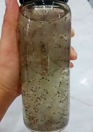 Hình của món Nước Nha Đam Hạt Chia.