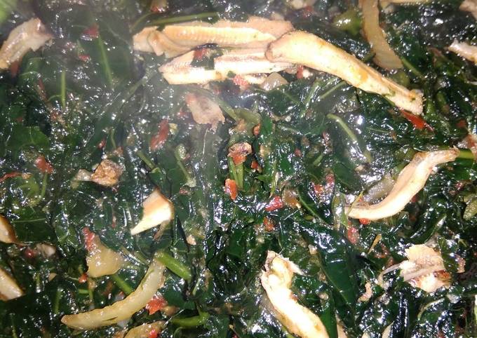 Resep Tumis Teri Daun Pepaya Anti Gagal