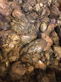 صورة لوصفة كبدة الدجاج