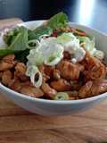 Donburi Teriyaki chicken on rice
