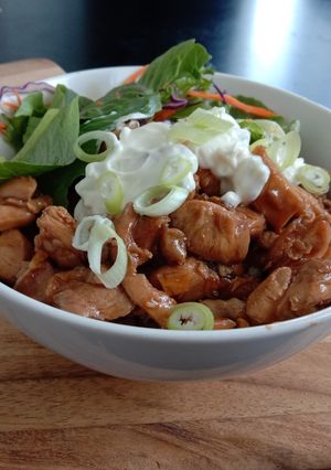 A picture of Donburi Teriyaki chicken on rice.
